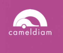 Camel Diam image 1