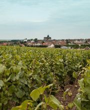 Champagne Pierre Launay image 5