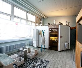 Acropolis Physiotherapie, Fitness & Welness Bild 11