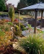 Ameline Arbora image 1