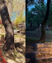 Roche Marvin image 2