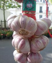 BJL Potager image 14