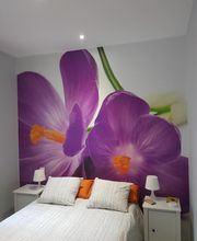 Pinturas Lozano imagen 14