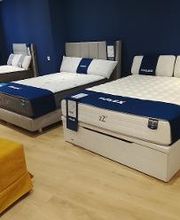 Tienda Flex by Noctalia imagen 3