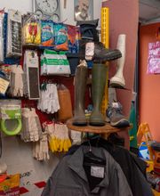 Gallery Cliente