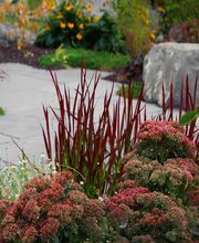 Ecosphère Paysage Sàrl Bild 7