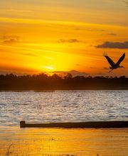 Presqu'Ile D'images image 7