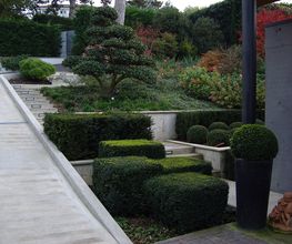 PAYSAGISTE JARDINIER JOVANOVIC Bild 2