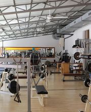 Gallery Cliente