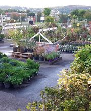 Jardinerie Delbard Le Puy en Velay image 15