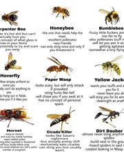 ecoPRO Wildlife Solutions image 6