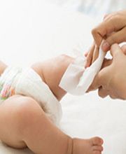 Glatfelter Scaer image 1