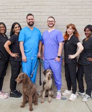 Bright Smiles Dental image 1