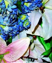 Díaz Floristas imagen 16