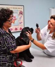 Loving Care Animal Hospital image 6