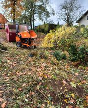 Grundstück Freischneiden