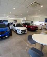 Mongodin Bellevue 1 image 13