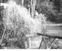 Biot Forage image 4