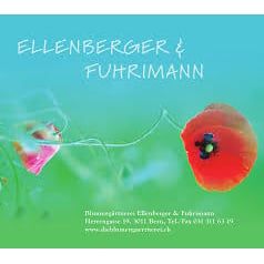 Blumengärtnerei Fuhrimann