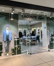 Overall View - Windows (Hero Image)