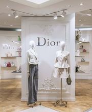 DIOR image 6
