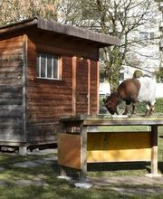 RIEDHOF Leben und Wohnen im Alter Bild 10