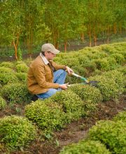 MHÄ-Marc Hägele Bild 6