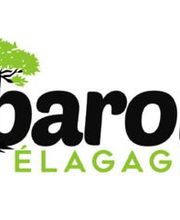 Baron Élagage image 8