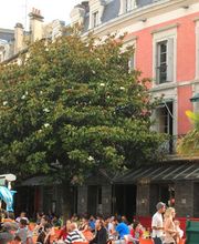 OFFICE DE TOURISME DE TARBES image 9