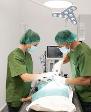 Kleintierpraxis Seegarten AG Bild 7