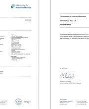 Caroline Guyer Nutrition Bild 4