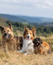 Sarah Genuit Fotografie Bild 1