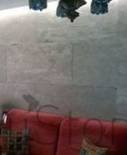 Vap Distribución imagen 13