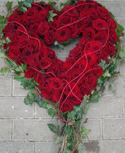 Blumenland Wiedmaier Bild 2