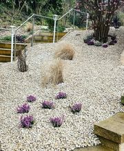 Zbinden Paysage Bild 11