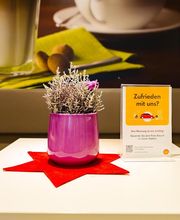 Shell Recharge Charging Station Bild 20