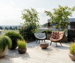 Somandin GmbH Bild 6