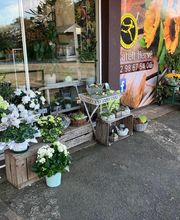 Un Vent De Fleurs image 11