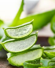 Christine Aboussouan -ChristineDiet4life Bild 4