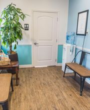 Short Pump Animal Hospital image 8