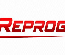 Auto Reprog image 1