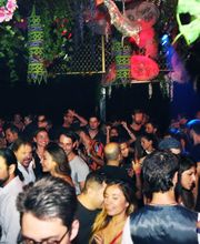 Do Not Sit On The Furniture image 8