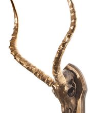 Impalatrophaee