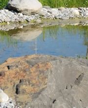 Gartenbau Felsberg GmbH Bild 2