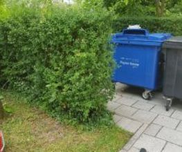 Die Hausmeister Bild 1