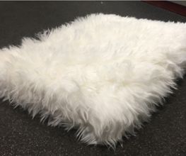 Bolonka-Shop.com Bild 14