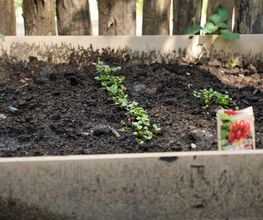 Humankind - Kinderdagverblijf De Groene Parel afbeelding 11