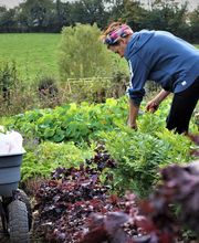 Jardin d'even image 6