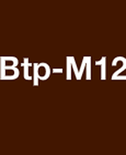 Btp-M12 image 2