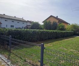 TR Baumpflege Bild 11